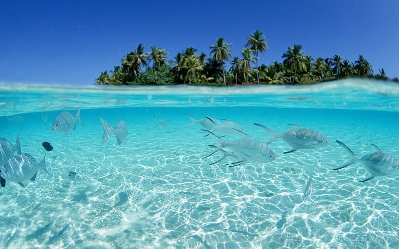 Lou Chavas - Maldives 2